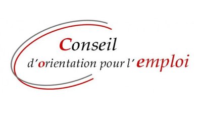 rsz_logo-conseil-dorientation-pour-lemploi-600x420.jpg